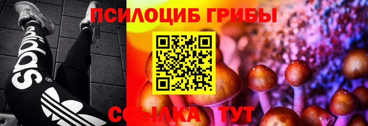 Галлюциногенные грибы прущие грибы  Вход с VPN  Галлюциногенные грибы Magic Shrooms  Полысаево 